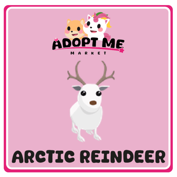 arctic reindeer