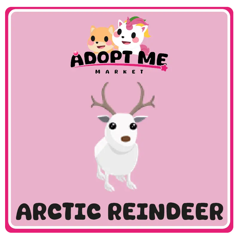 arctic reindeer