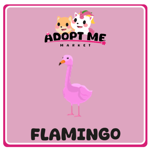 flamingo