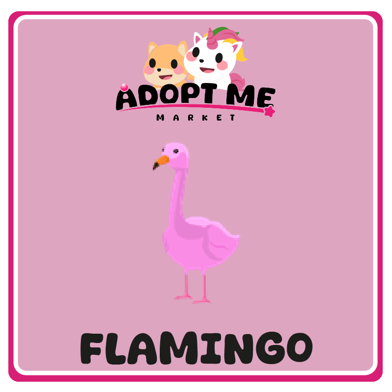 flamingo