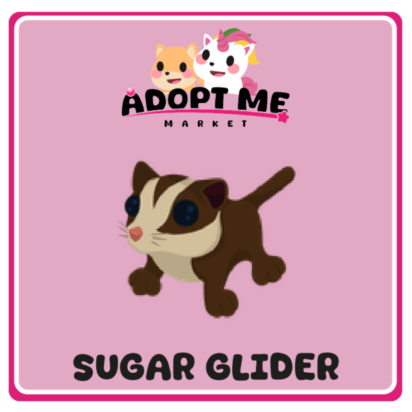 sugar glider