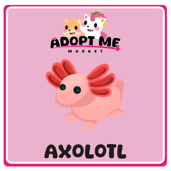 Axolotl