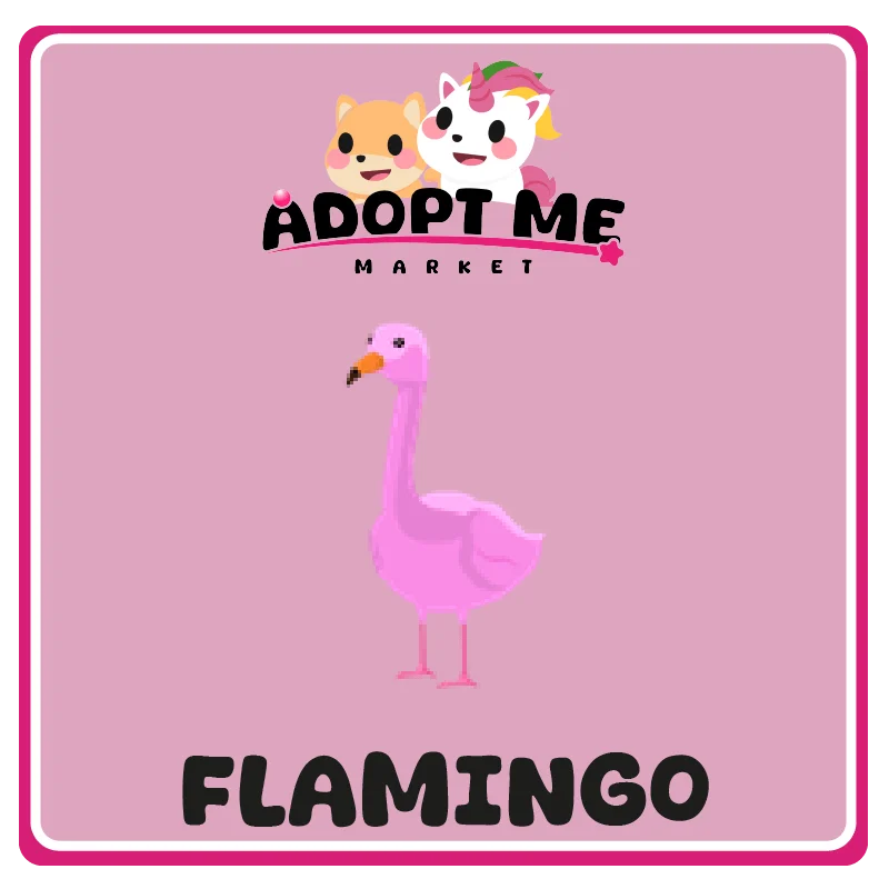 Flamingo