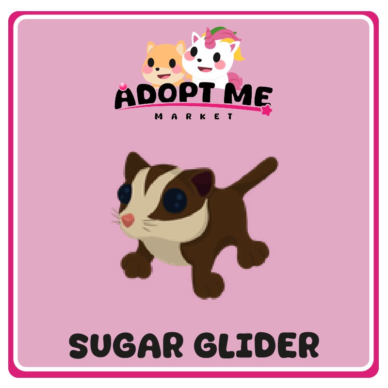 Sugar Glider